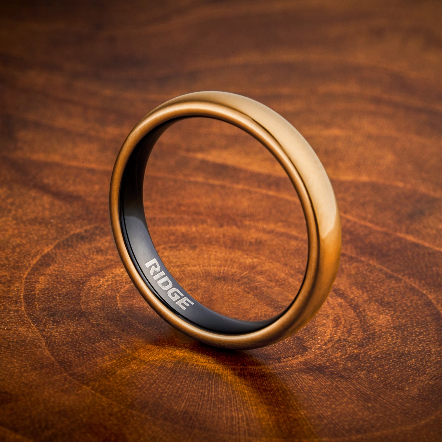 4mm Rounded Ring Set - 24K Gold - Image 6