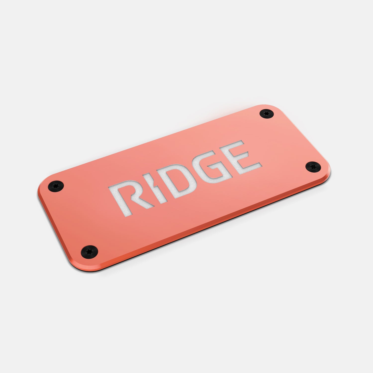 Personalized Logo Plate - Just Peachy - Image 4