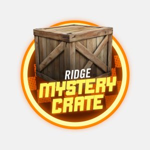 500 EXTRA ENTRIES
