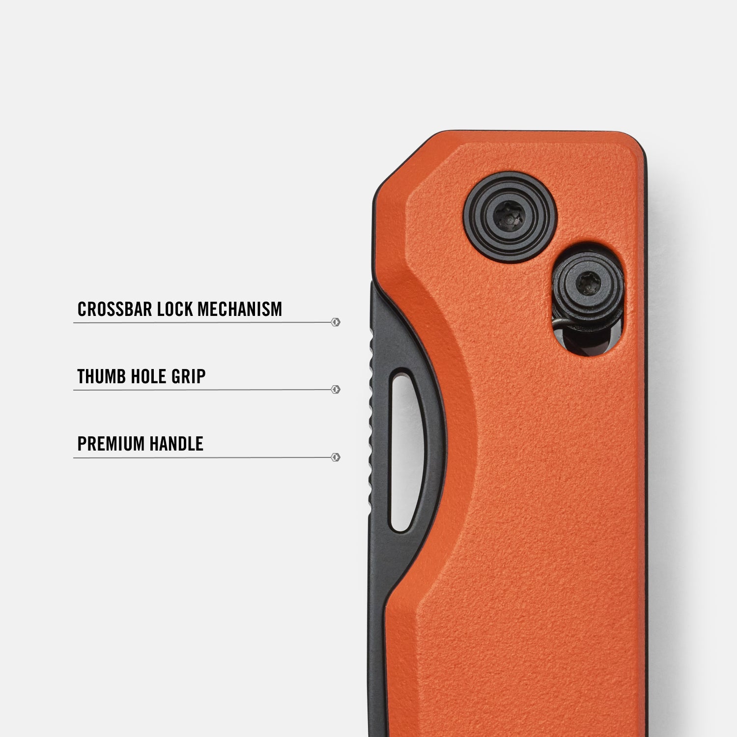 Everyday Folder - Traditional Flash - Color - Image 9