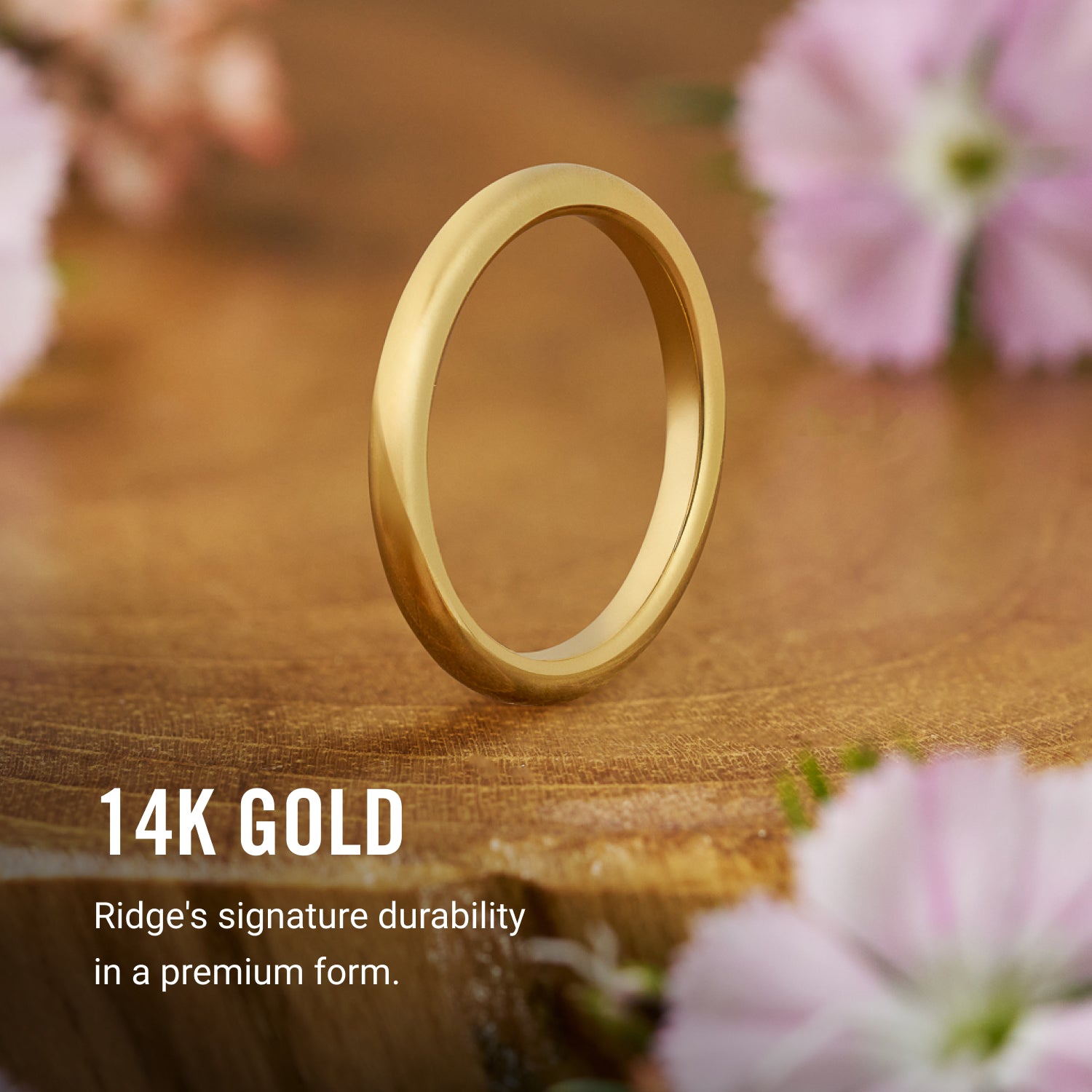 2mm Rounded Ring Set - 14K Yellow Gold - Image 8