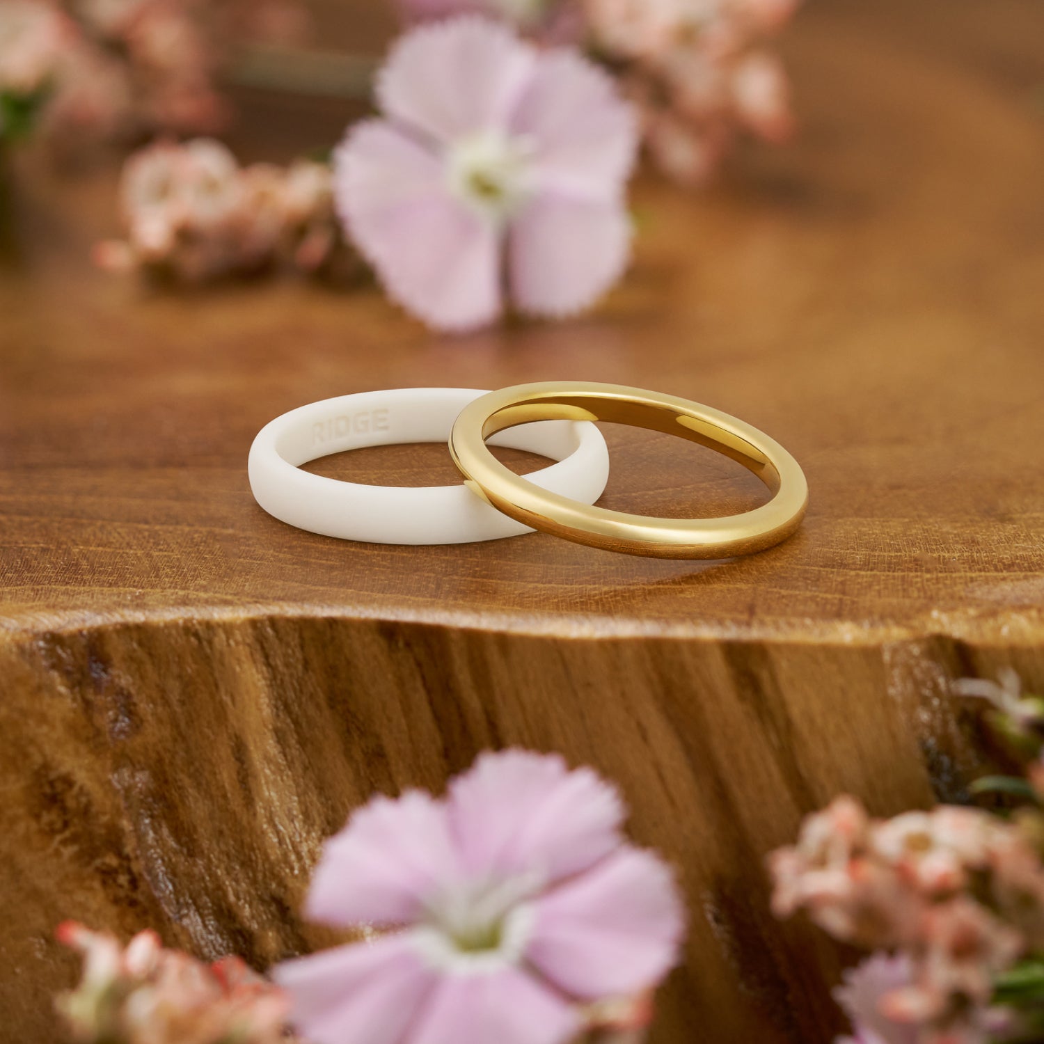 2mm Rounded Ring Set - 14K Yellow Gold - Image 5
