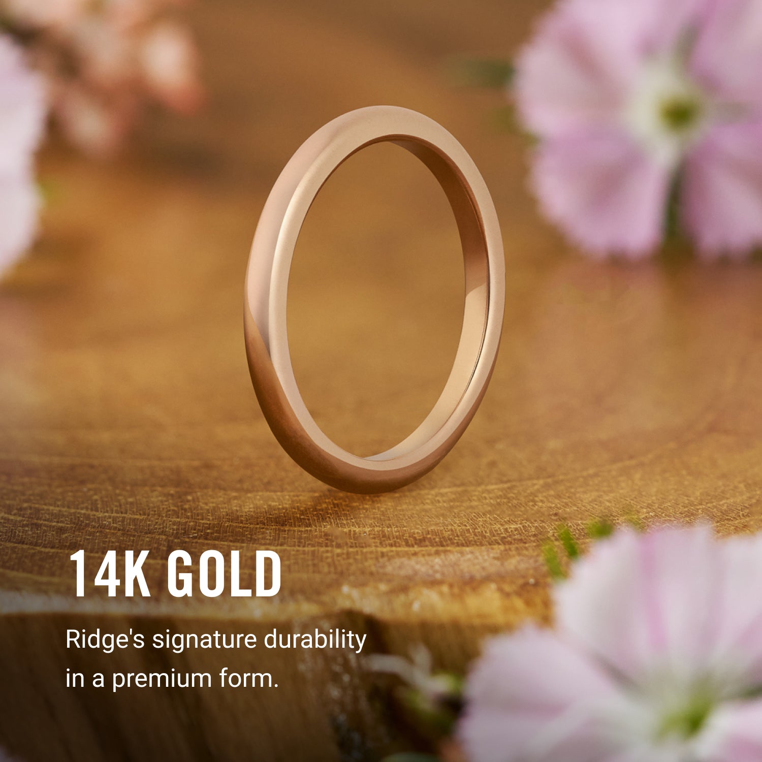 2mm Rounded Ring Set - 14K Rose Gold - Image 8