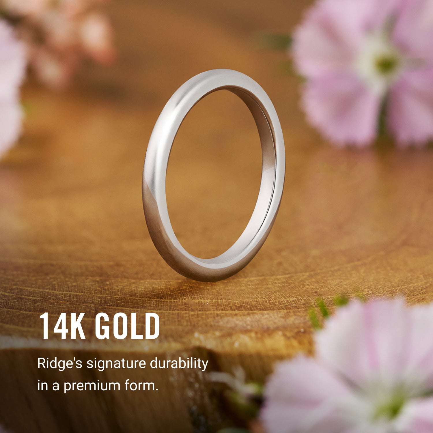 2mm Rounded Ring Set - 14K White Gold - Image 8