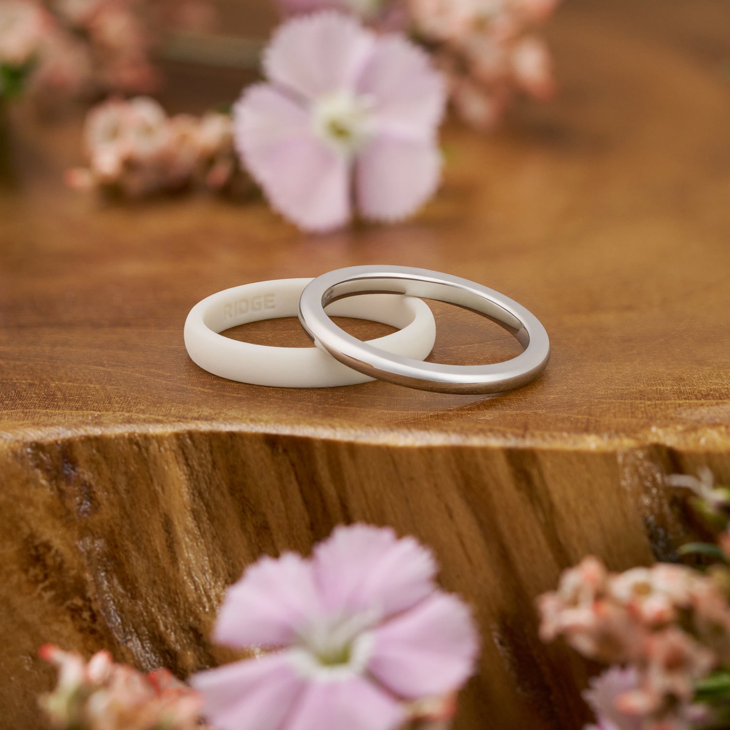 2mm Rounded Ring Set - 14K White Gold - Image 5